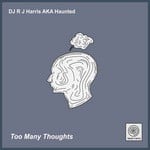 cover: Dj Rj Harris - Too Many Thoughts