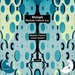 cover: Melogik - Modular Visions EP