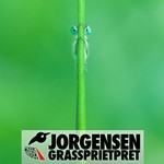 cover: Jorgensen - Gras Spriet Pret