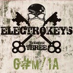 cover: Deekline|Exude|Hands High|Josh Money|Rave Radio|Soundextra|Wizard - Electro Keys G#M 1A Vol 3