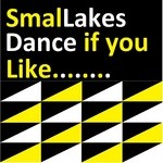 cover: Smallakes - Dance If You Like