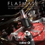 cover: Flatmate - Clutch EP