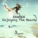 cover: Xandek - Enjoying The Beach