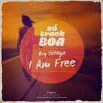 cover: Bry Ortega - I'm Free (Original Mix)