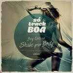 cover: Bry Ortega - Shake Your Body (Original Mix)