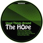 cover: Usual Things Around - The Hope