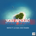 cover: Joao Figueira|LIA SILVA|REDFOX - You Should Never Forget