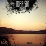 cover: Morrison - Terra