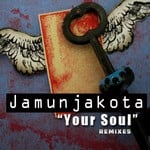 cover: Jamunjakota - Your Soul: Remixes