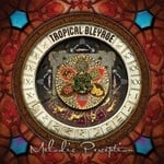 cover: Tropical Bleyage - Melodic Perception