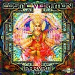 cover: Cosmic Vibration - Parvati