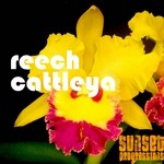 cover: Reech - Cattleya