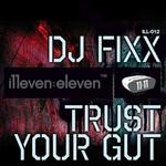 cover: Dj Fixx - Trust Your Gut