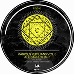 cover: Cristian Martin|Gesus Lpz|Vera, Victor - Various Reptilians Vol 5 - ADE Sampler 2013