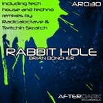 cover: Brian Boncher - Rabbit Hole