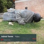 cover: Adrial Torres - Fallen