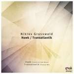 cover: Niklas Grosswald - Hawk