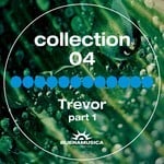 cover: Various - Collection 04: Trevor Part 1