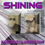 cover: ANGELO DANI|Di Matteo Angelo|NARCISO DJ - Shining