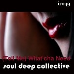 cover: Soul Deep Collective - (Tell Me) What'cha Need