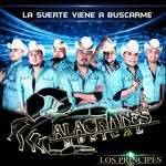 cover: Alacranes Musical - La Suerte Viene A Buscarme