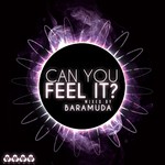 cover: Baramuda|Various - Can You Feel It? Mixed By Baramuda