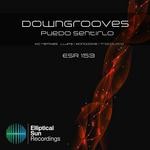 cover: Downgrooves - Puedo Sentirlo