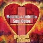 cover: Mesake|Indre Ju - Soul Color