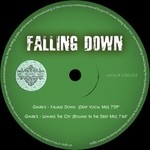 cover: Gavril's - Falling Down