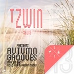 cover: Kajan Chow|Oded Nir|Various - T Zwin Autumn Grooves 2013