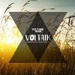 cover: Various - Voltaik Vol 11