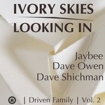 cover: Dave Shichman|Jaybee|Owen, Dave - Driven Family Vol 2