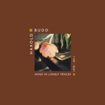 cover: Harold Budd - Wind In Lonely Fences 1970 2011