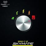 cover: Skymate - Bring It Up