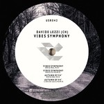 cover: Davide Lezzi Ch - Vibes Symphony EP