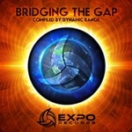 cover: Various - Bridging The Gap - Compiled By Dynamic Range