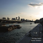 cover: Marat Shibaev - Seeing Tokyo