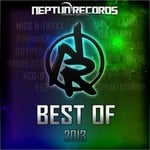 cover: Various - Best Of 2013 (Neptun Records)