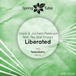 cover: Jochem Peterson|Vazik|Yes She Knows - Liberated