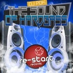 cover: Dj Pok - THE SOUND OF HARDBASS