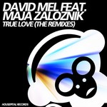 cover: David Mel - True Love (The Remixes)