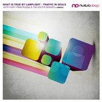 cover: What Is True By Lamplight - Traffic In Souls