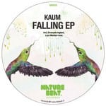 cover: Kaum - Falling EP