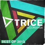 cover: Various - Trice Recordings - Best Of 2013