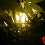 cover: Huevosound - Legalize It EP