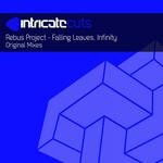 cover: Rebus Project - Falling Leaves/Infinity