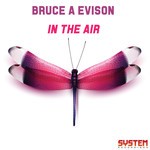 cover: Bruce A Evison - In The Air