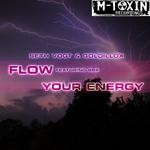 cover: Goldillox|Vogt, Seth - Flow/YourEnergy