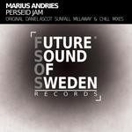 cover: Marius Andries - Perseid Jam