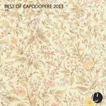 cover: Various - Best Of Capodopere 2013